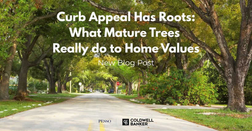 What Mature Trees Really do for Home Values